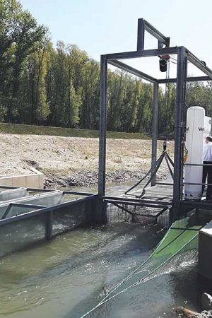 Donau wird immer barrierefreier | UmweltJournal (c) Kohl