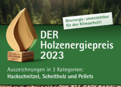 Bild: Holzenergiepreis 2023