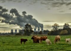 Foto: Luftverschmutzung