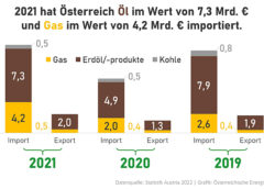Grafik: Österreichs Öl- und Gas-Importe 2021 © Austrian Energy Agency
