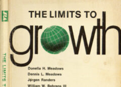 Foto: Die Grenzen des Wachstums, Buch, 1972, Cover